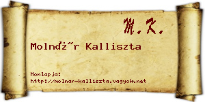 Molnár Kalliszta névjegykártya