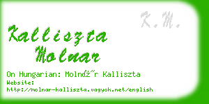 kalliszta molnar business card